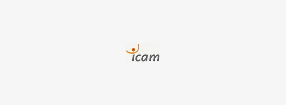 icamsitedeparissenart